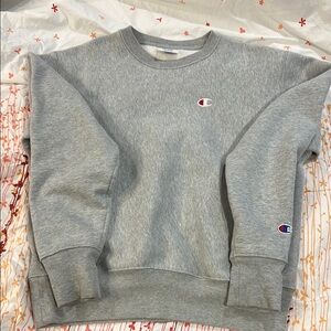 Champion Gray Sweatshirt